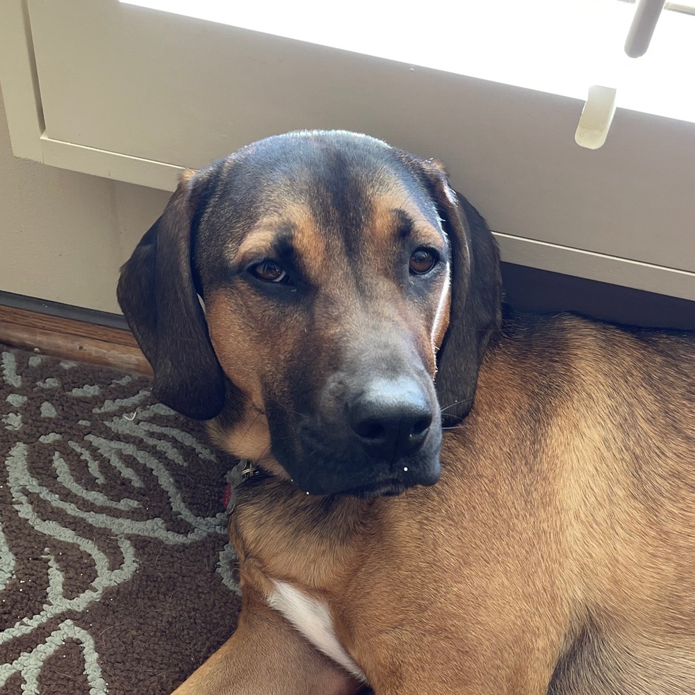 Meet your Posher, Ellie